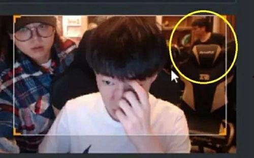 王哥爆料社会事件视频,社会事件视频背后的真相与反思  第3张